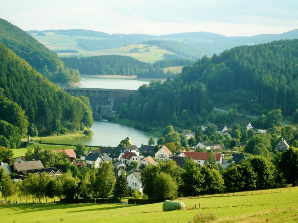 Ferienblockhaus Willingen Mit Meinecardplus Buitenkant foto